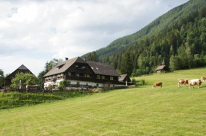 Der Perweinhof, Donnersbachwald, Österreich, Donnersbachwald, Österreich